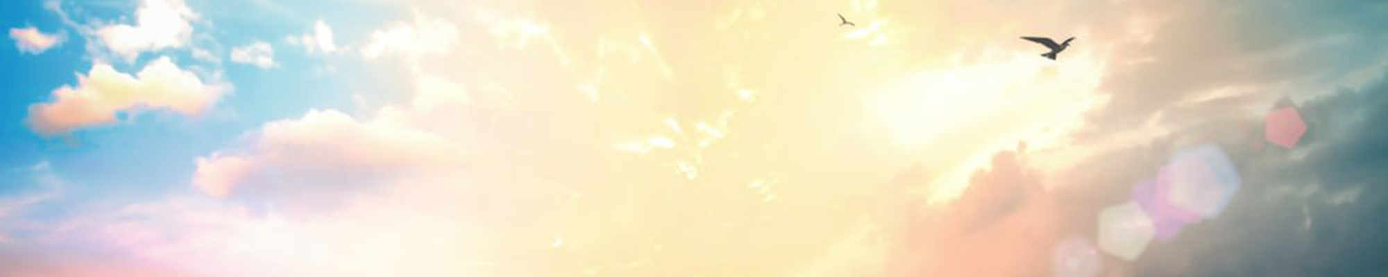 搜索本站精品资源